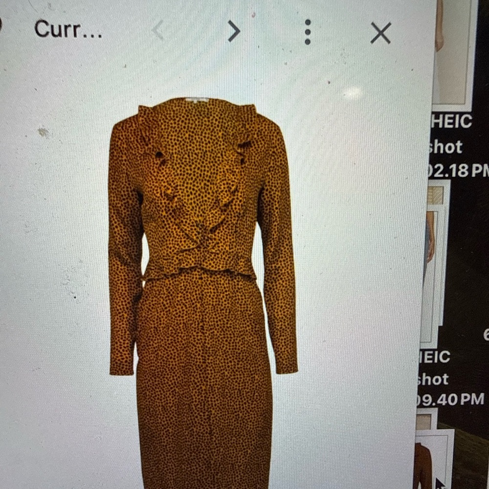 Tularosa Leopard Ruffle-Front Long Sleeve Midi Dress - Brown/Black